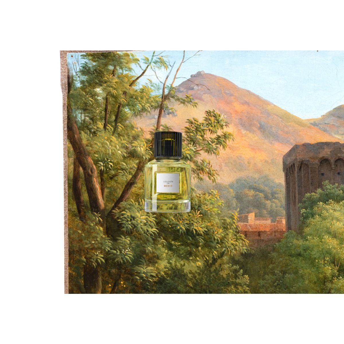 Médie - Grapefruit, Sambac Jasmine and Cedarwood – Duvall Atelier