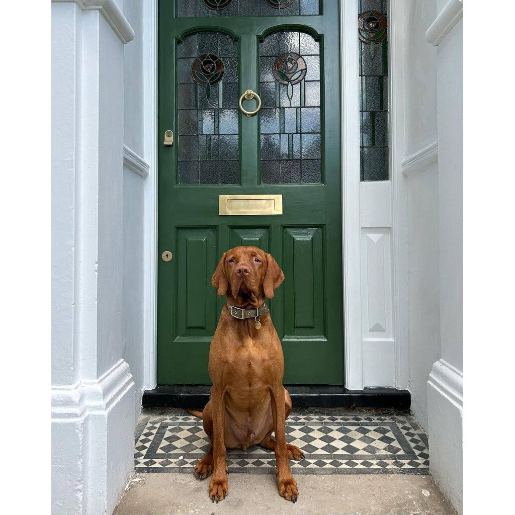 Farrow &amp; Ball Beverly No. 310 paint, duvallatelier.com