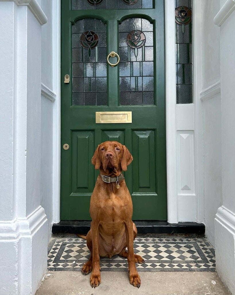 Farrow &amp; Ball Beverly No. 310 paint, duvallatelier.com