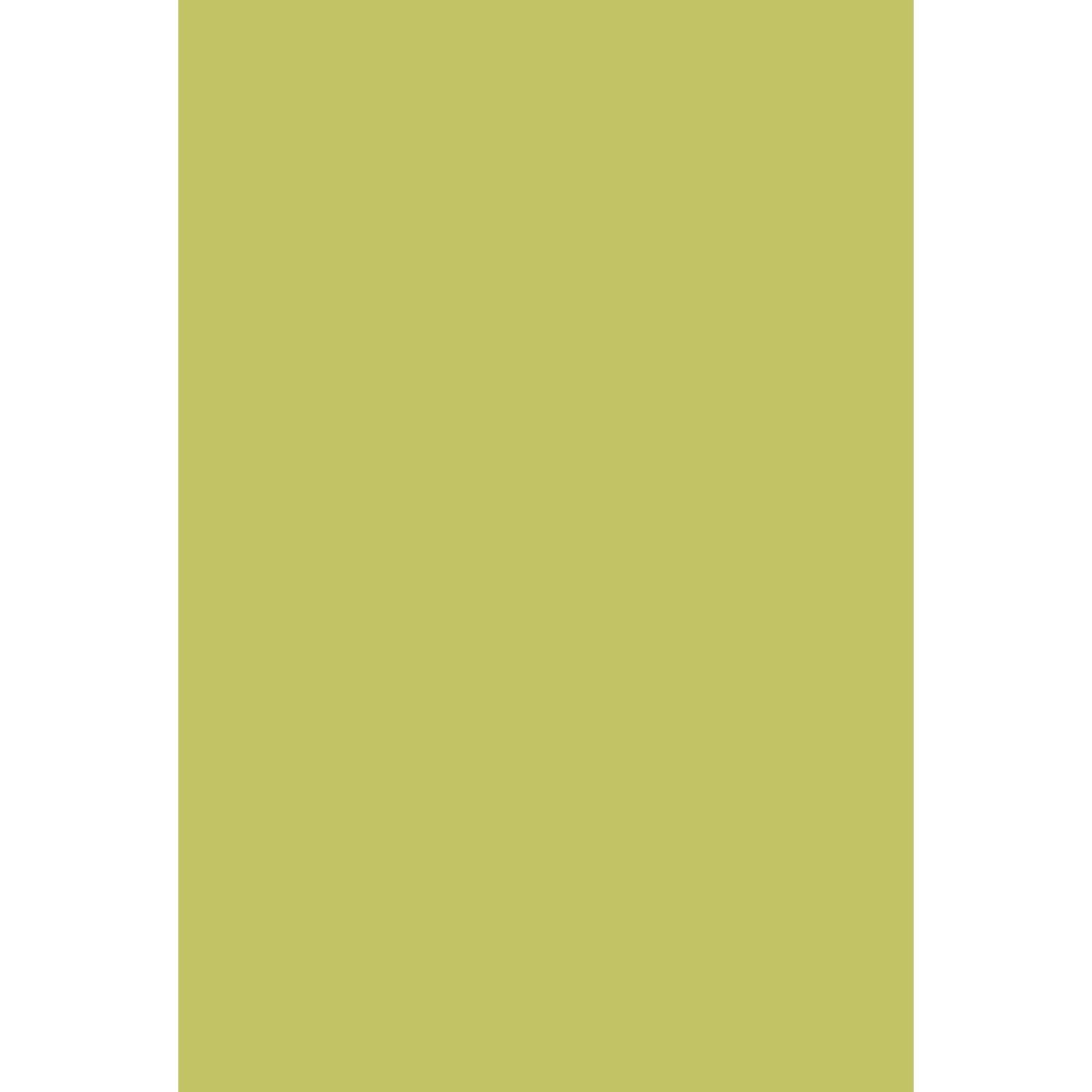 Farrow & Ball Acid Drop No. 9908 paint, duvallatelier.com
