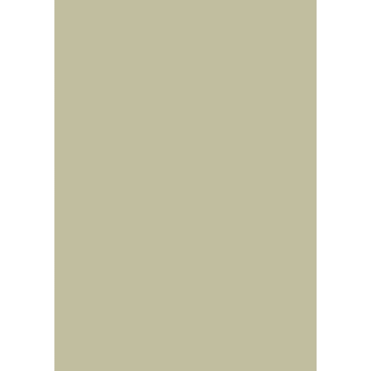 Farrow & Ball Ash Grey No. W9 paint sample, duvallatelier.com
