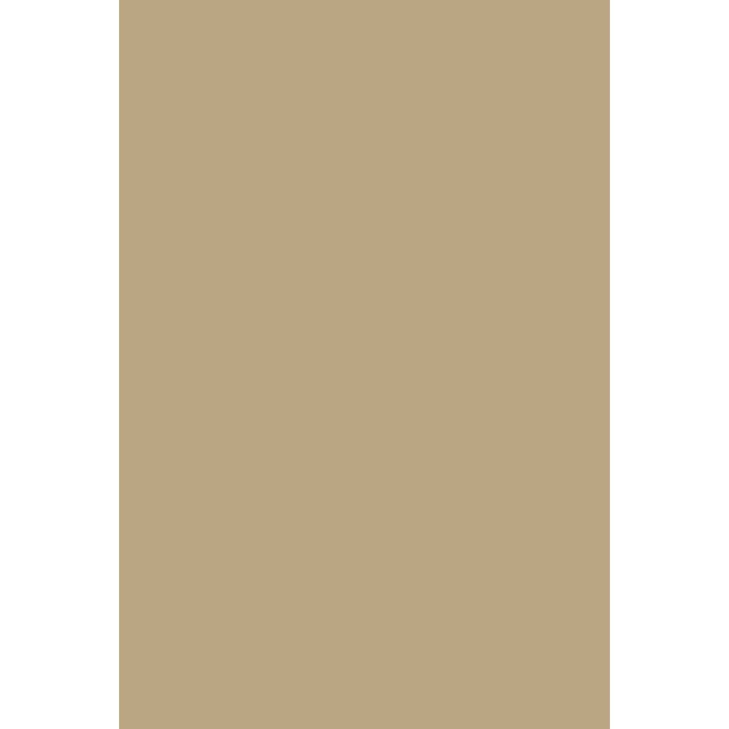 Farrow & Ball Biscuit No. 38 paint swatch, duvallatellier.com