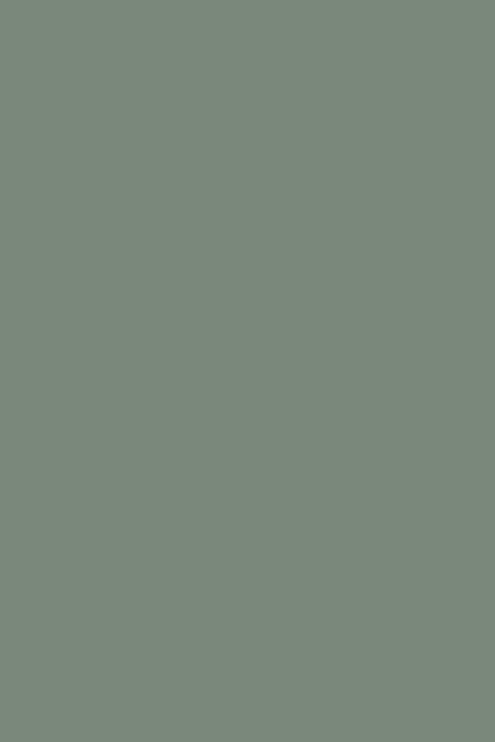 Farrow &amp;amp; Ball Carriage Green No. 94 paint Swatch, duvallatelier.com