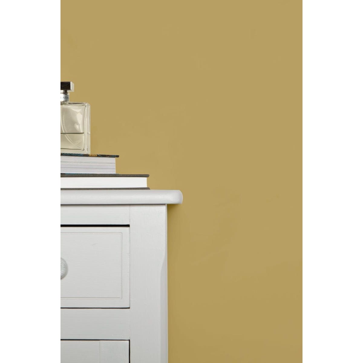 Farrow &amp; Ball Cat's Paw No 240 paint, duvallatelier.com