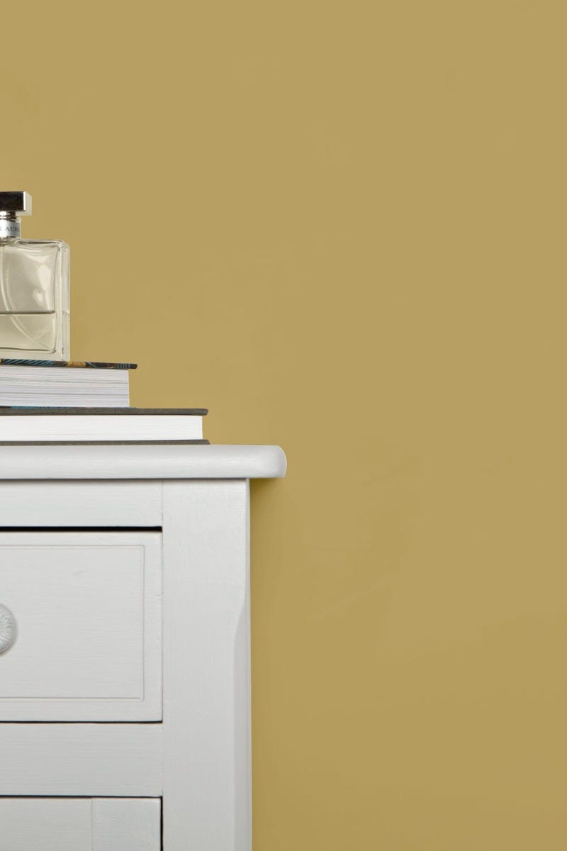 Farrow &amp; Ball Cat's Paw No 240 paint, duvallatelier.com
