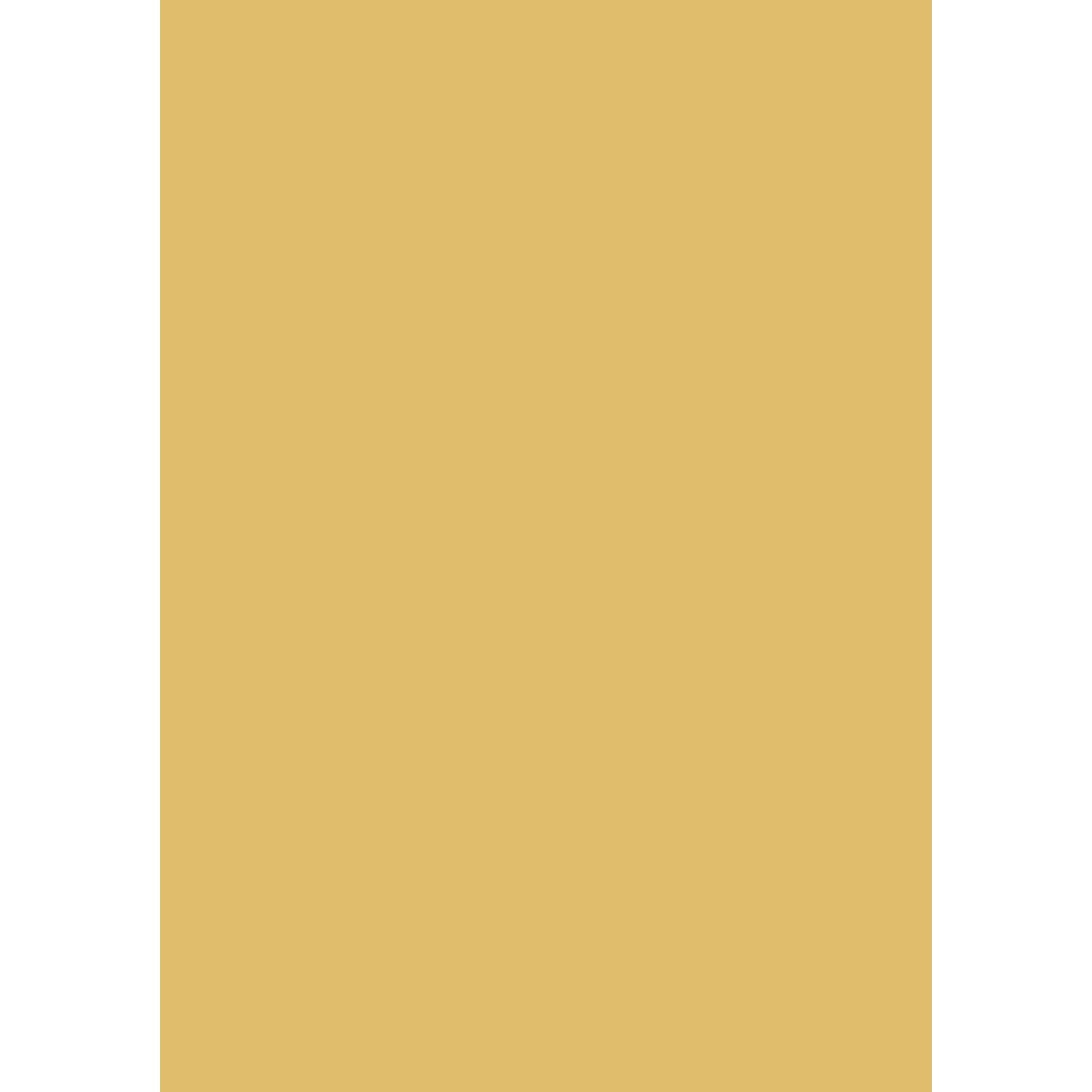 Farrow &amp; Ball Corngold No. 9915 paint swatch, duvallatelier.com