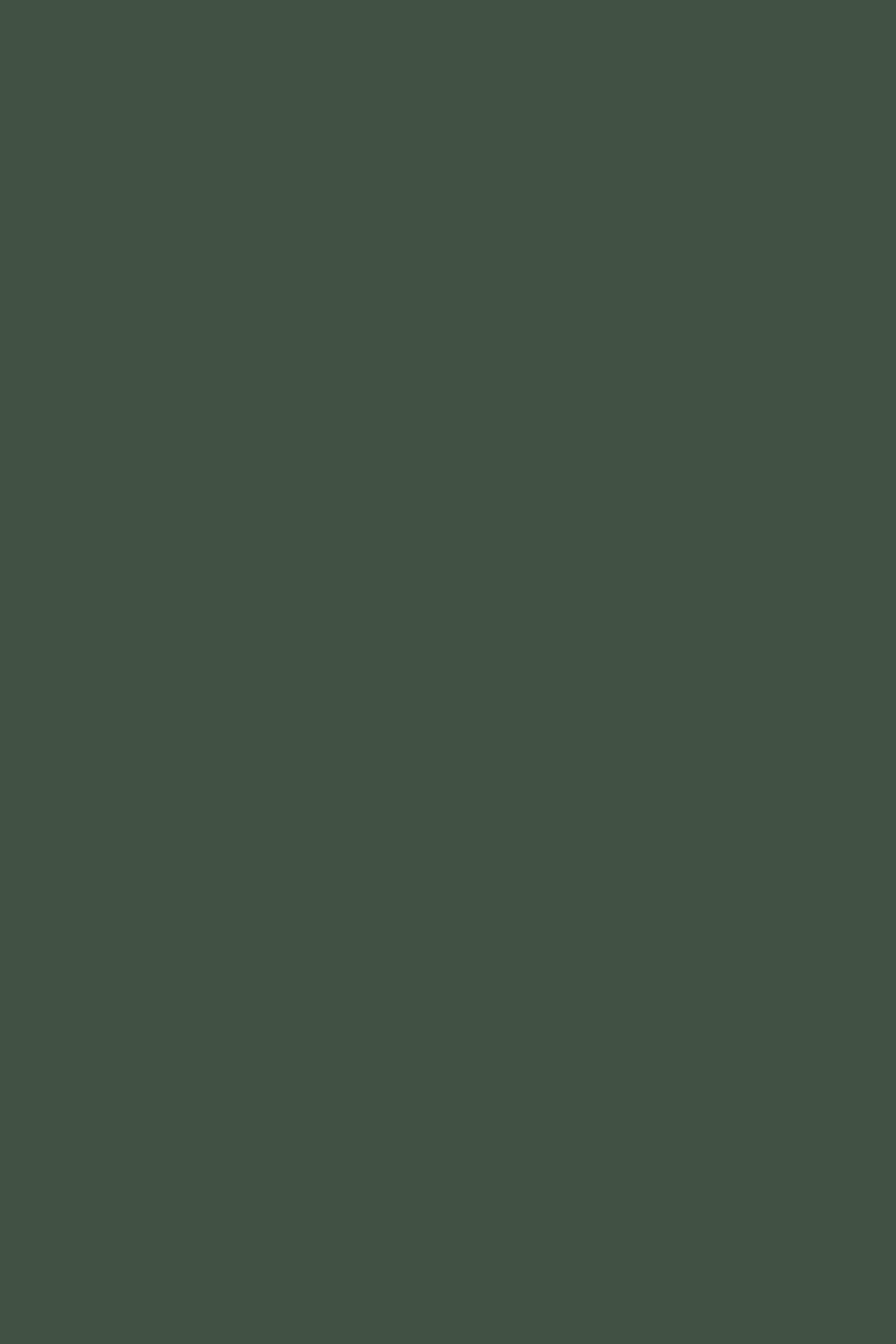 Farrow & Ball Duck Green No. W55 paint swatch, duvallatelier.com