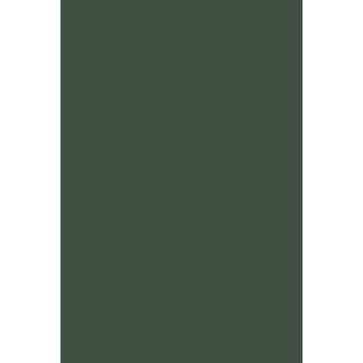Farrow & Ball Duck Green No. W55 paint swatch, duvallatelier.com