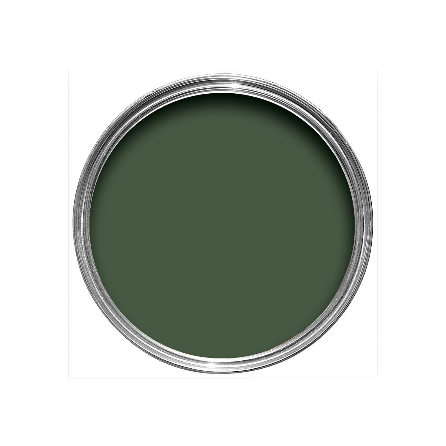 Farrow & Ball Duck Green No. W55 paint, duvallatelier.com