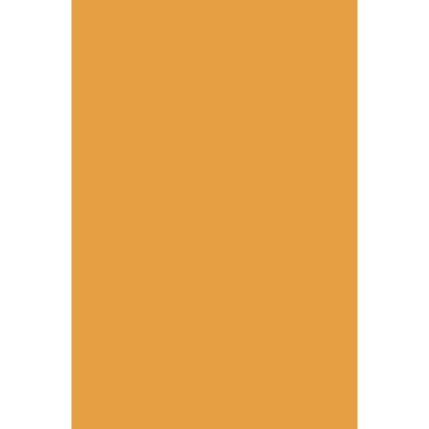 Farrow & Ball Dutch Orange No. W76 paint swatch, duvallatelier.com