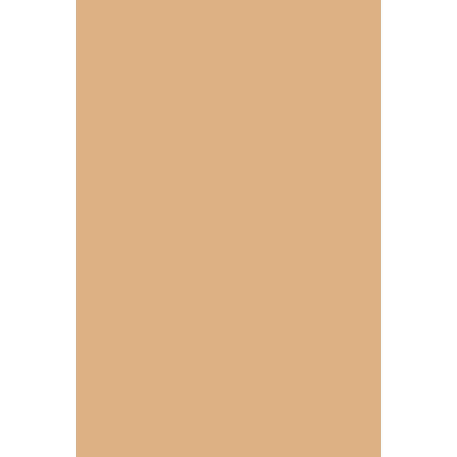 Farrow &amp; Ball Dutch Pink No. 62 paint swatch, duvallatelier.com
