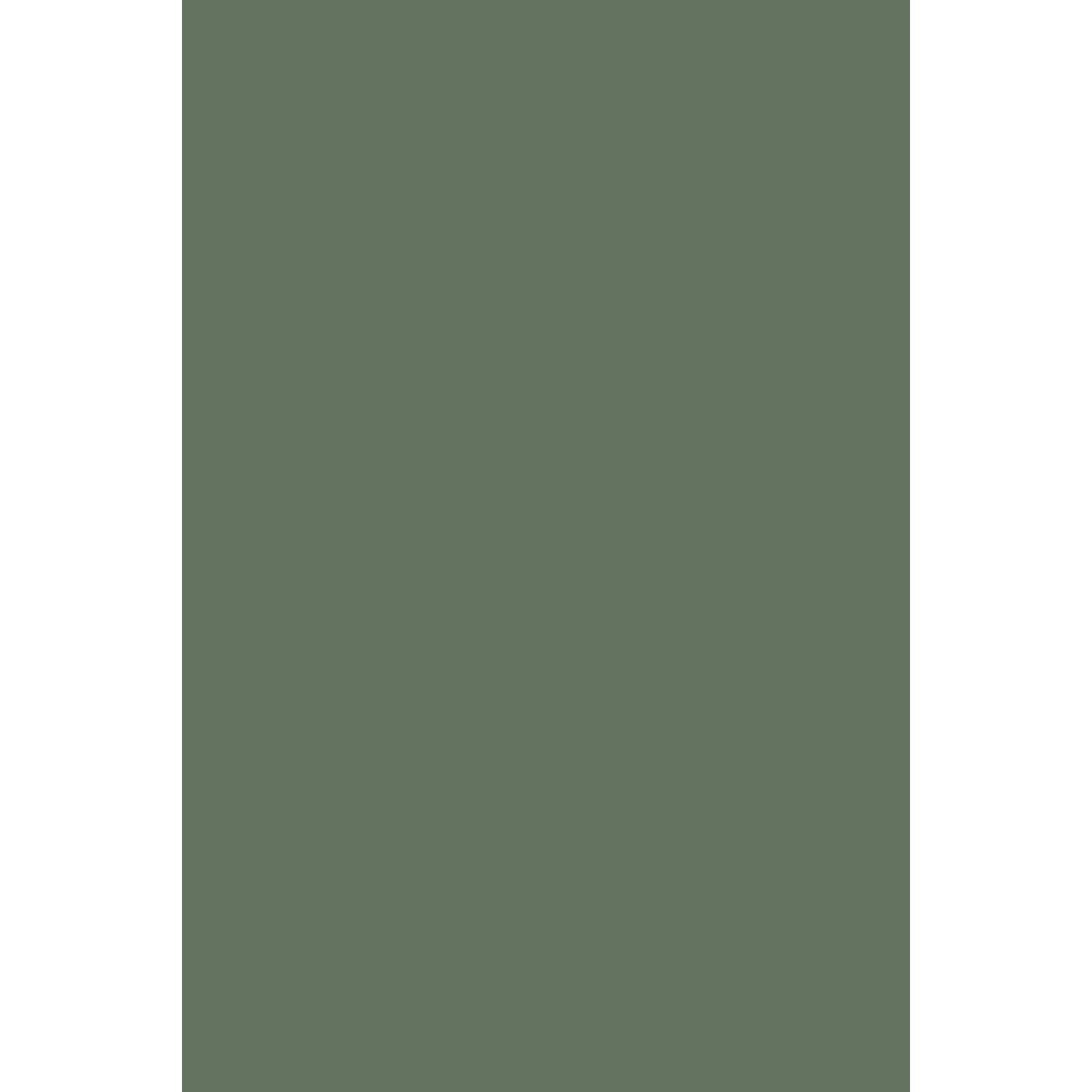Farrow & Ball Dyrehaven No. 9819 paint swatch, duvallatelier.com