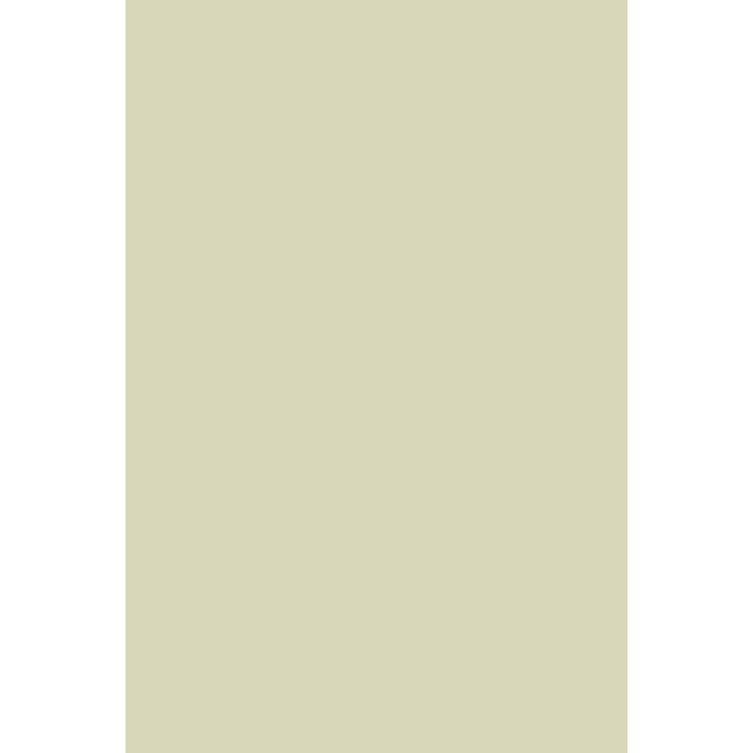 Farrow & Ball Green Ground No. 206 paint swatch, duvallatelier.com
