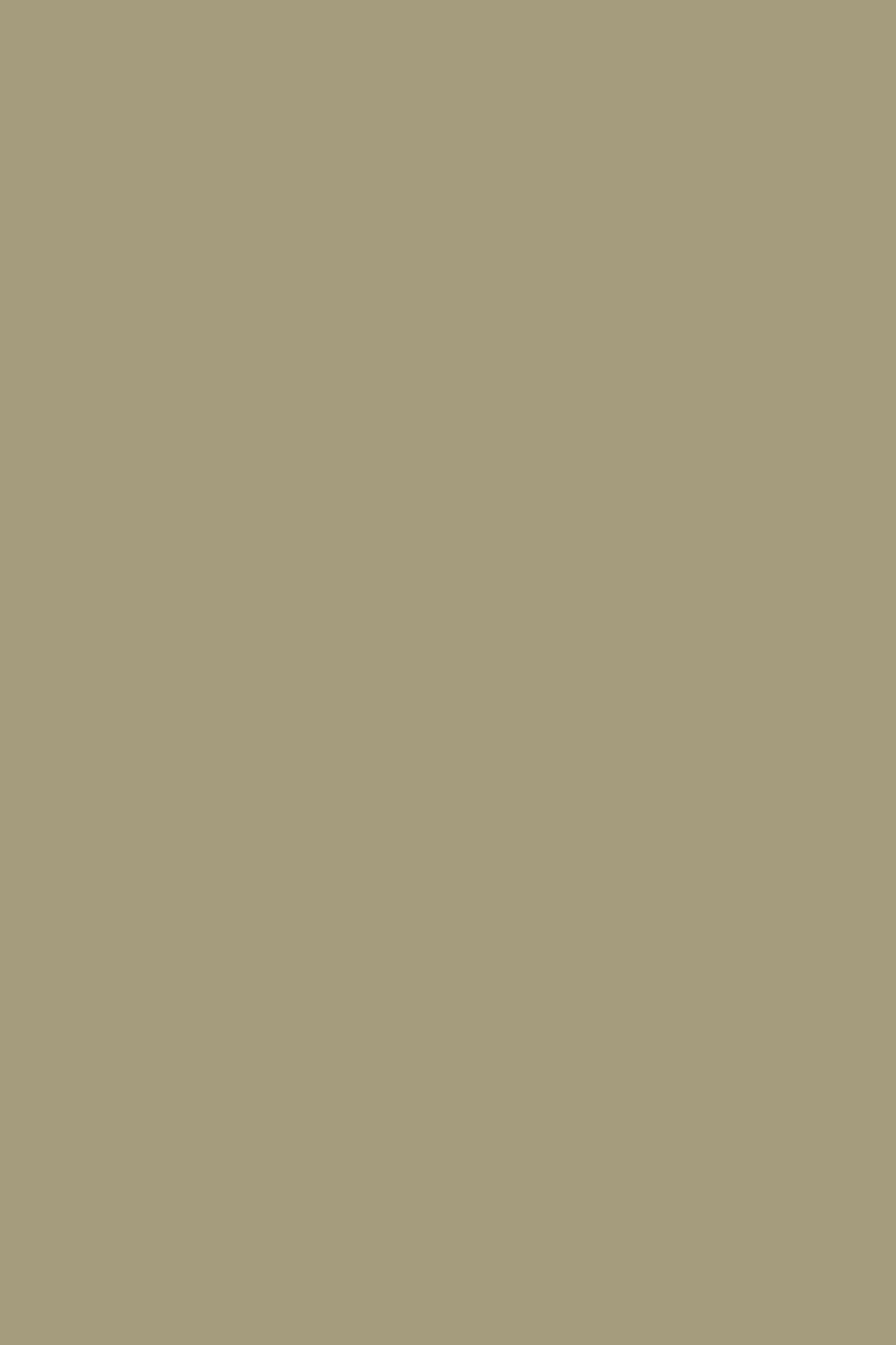 Farrow & Ball Green Stone No. 12 paint swatch, duvalatelier.com