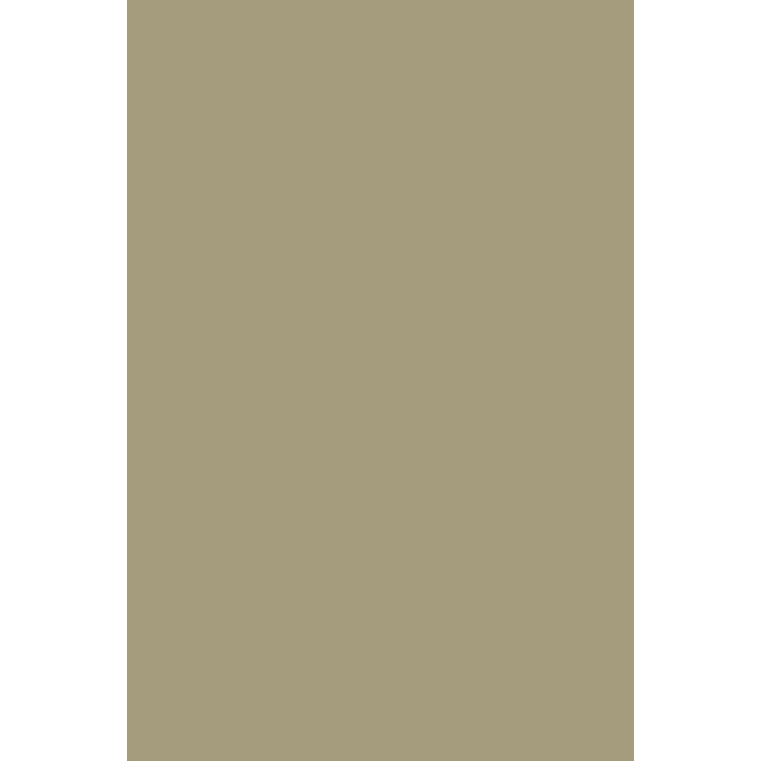 Farrow & Ball Green Stone No. 12 paint swatch, duvalatelier.com