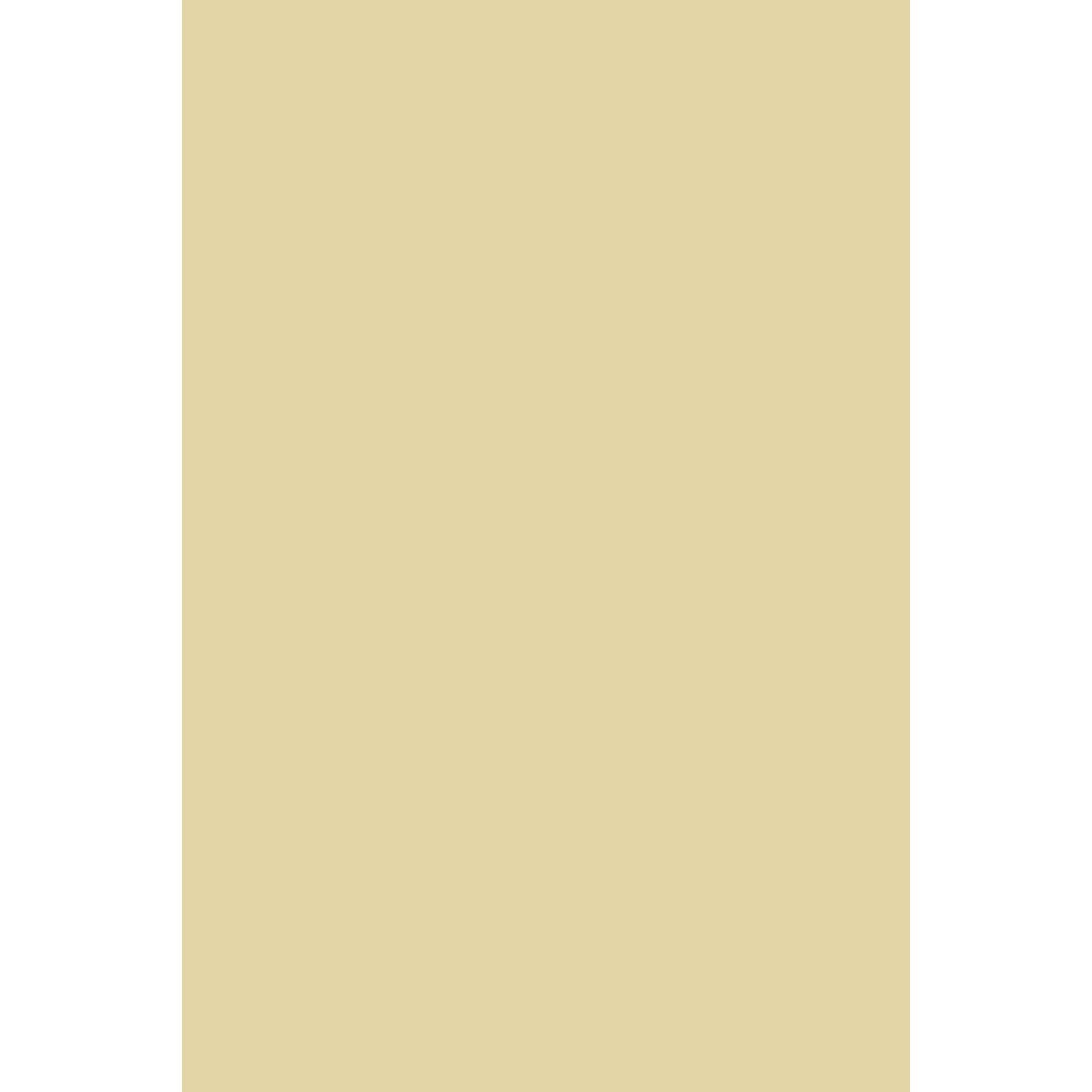 Farrow & Ball Hound Lemon No. 2 paint swatch, duvallatelier.com