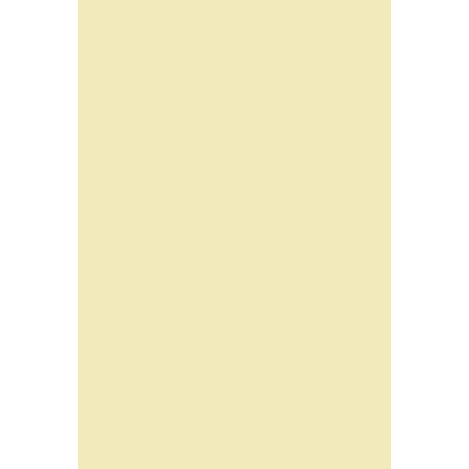 Farrow & Ball Lancaster Yellow No. 249 paint swatch, duvallatelier.com