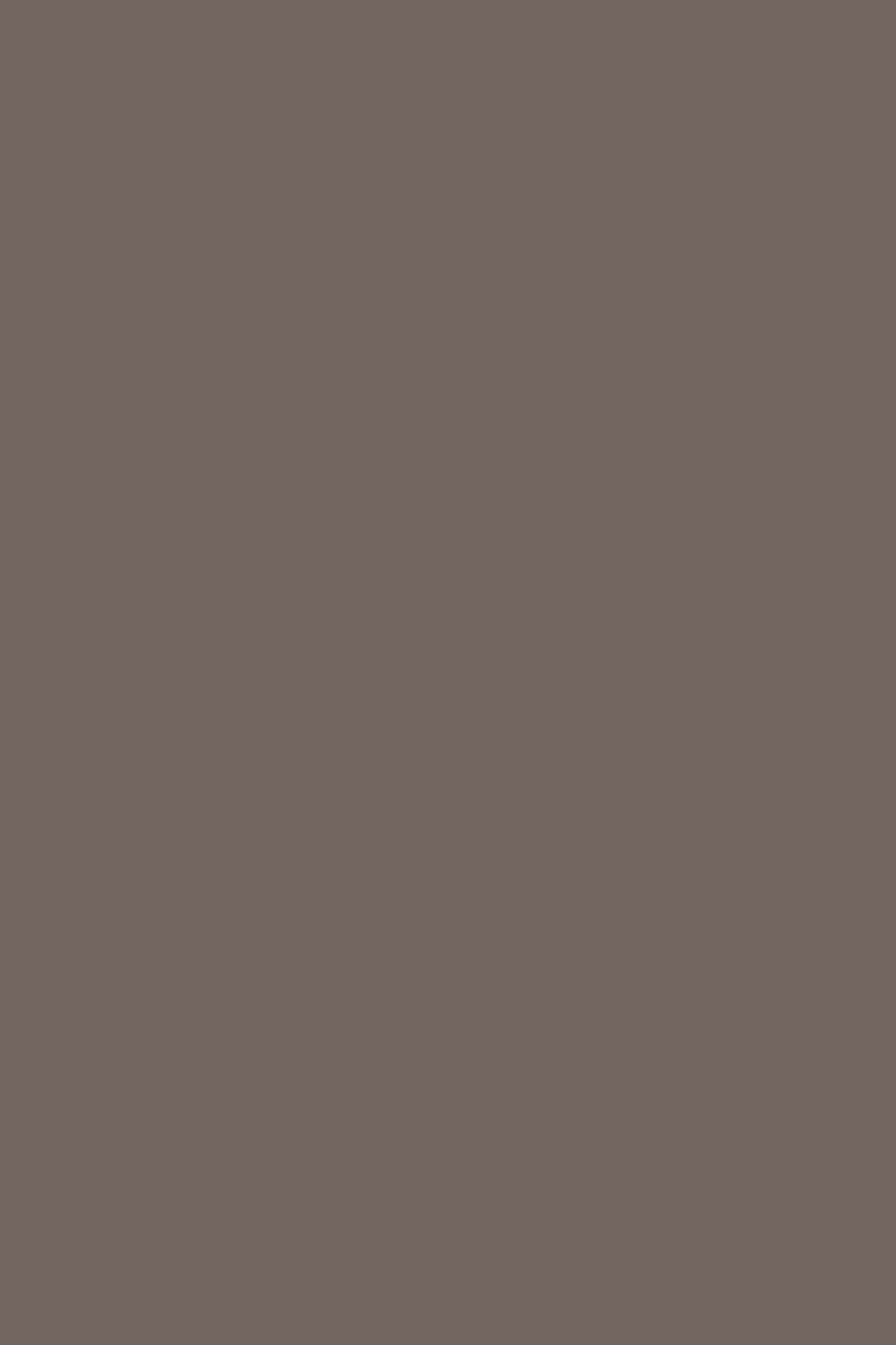 Farrow & Ball London Clay No. 244 paint swatch, duvallatelier.com