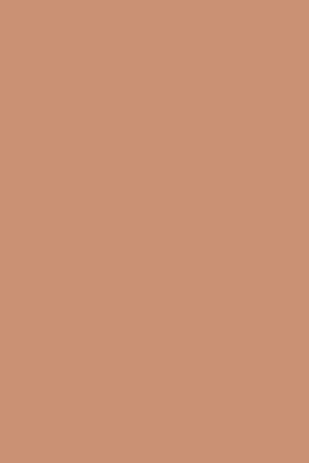 Farrow & Ball Menagerie No. 63 paint Swatch, duvallatelier.com