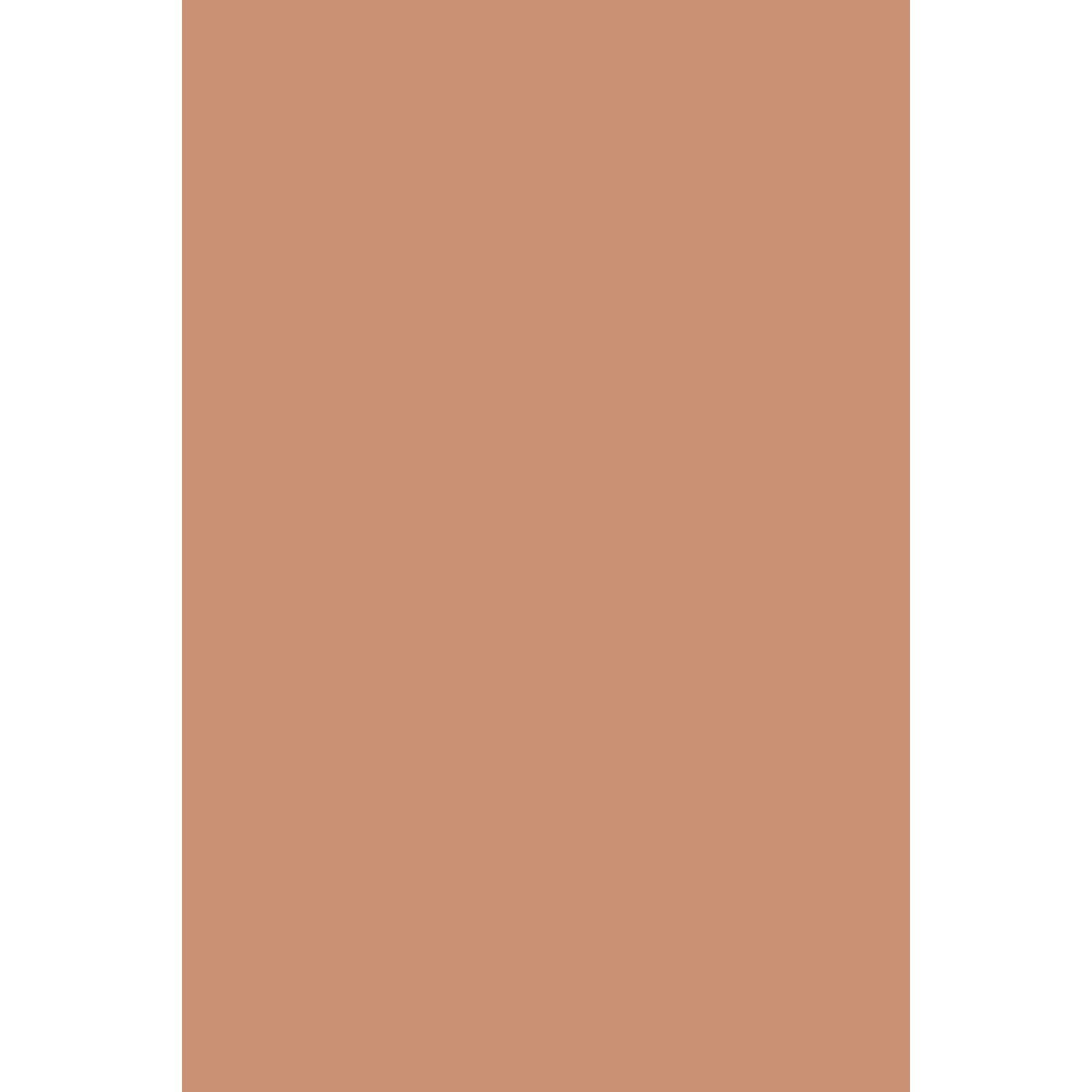 Farrow & Ball Menagerie No. 63 paint Swatch, duvallatelier.com