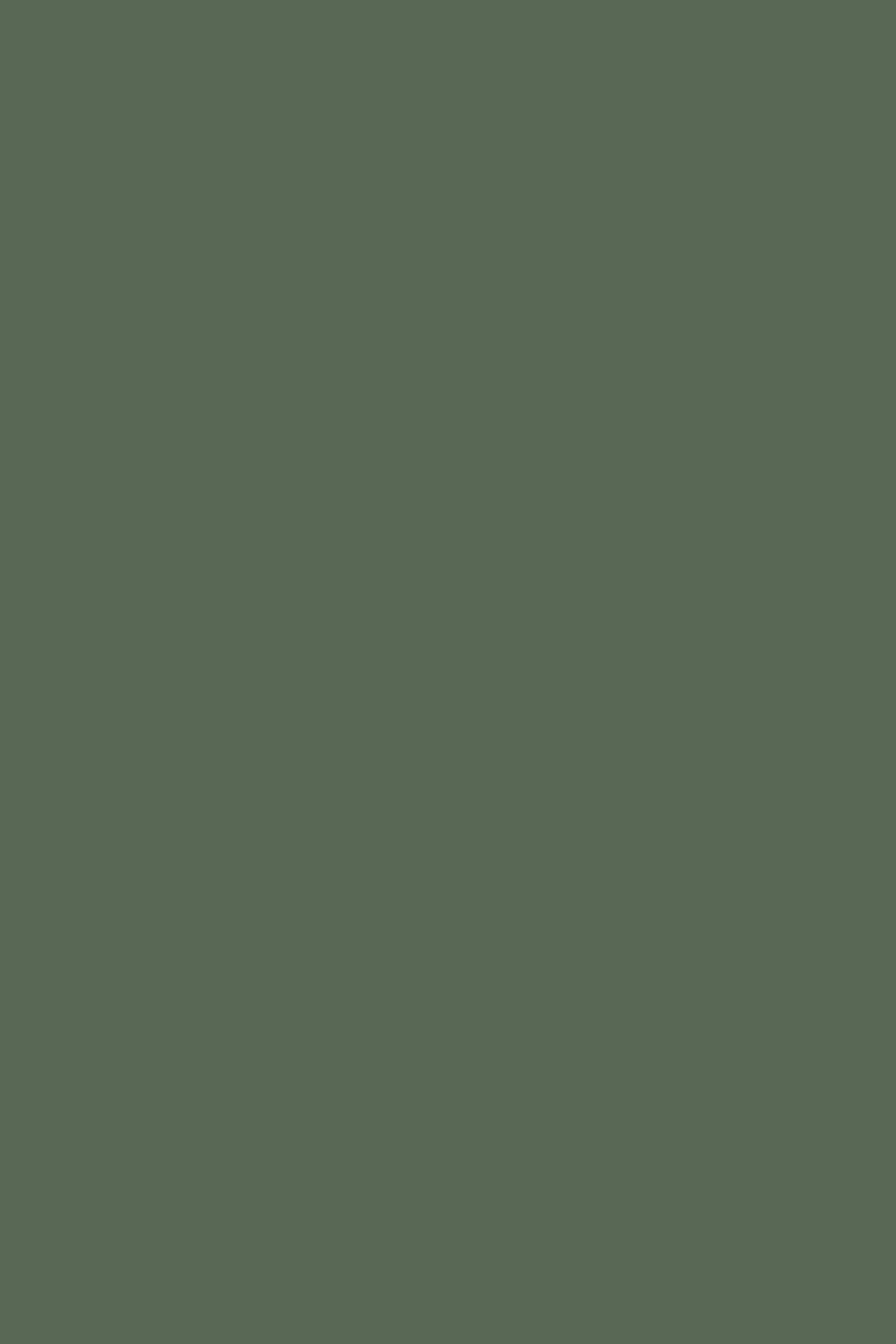 Farrow & Ball Minster Green No. 224 paint swatch, duvallatelier.com
