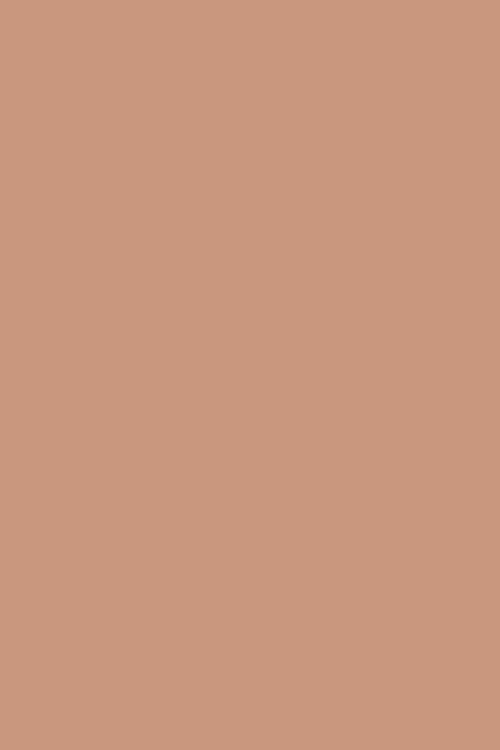 Farrow & Ball Ointment Pink No. 21 paint swatch, duvallatelier.com