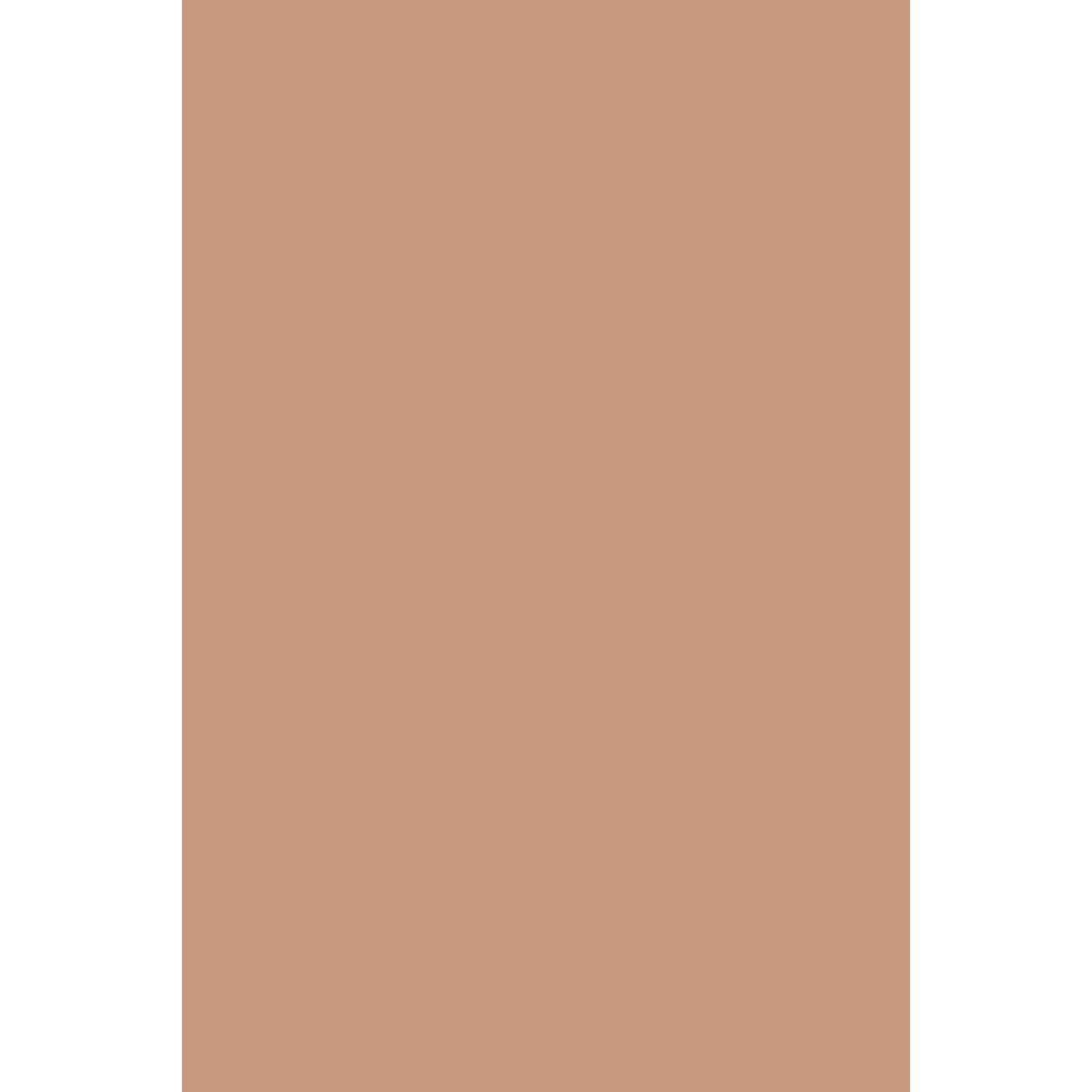 Farrow & Ball Ointment Pink No. 21 paint swatch, duvallatelier.com