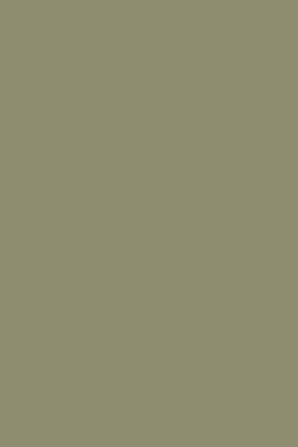 Farrow & Ball Olive No. 13 paint swatch, duvallatelier.com