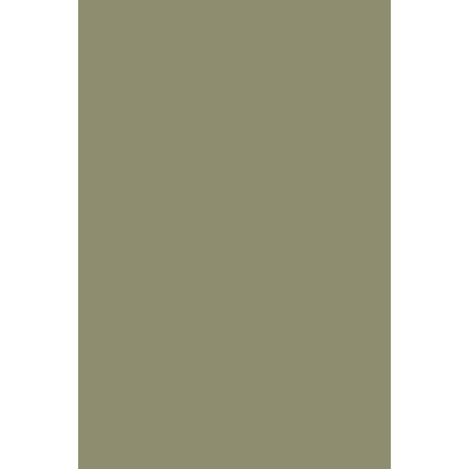 Farrow & Ball Olive No. 13 paint swatch, duvallatelier.com