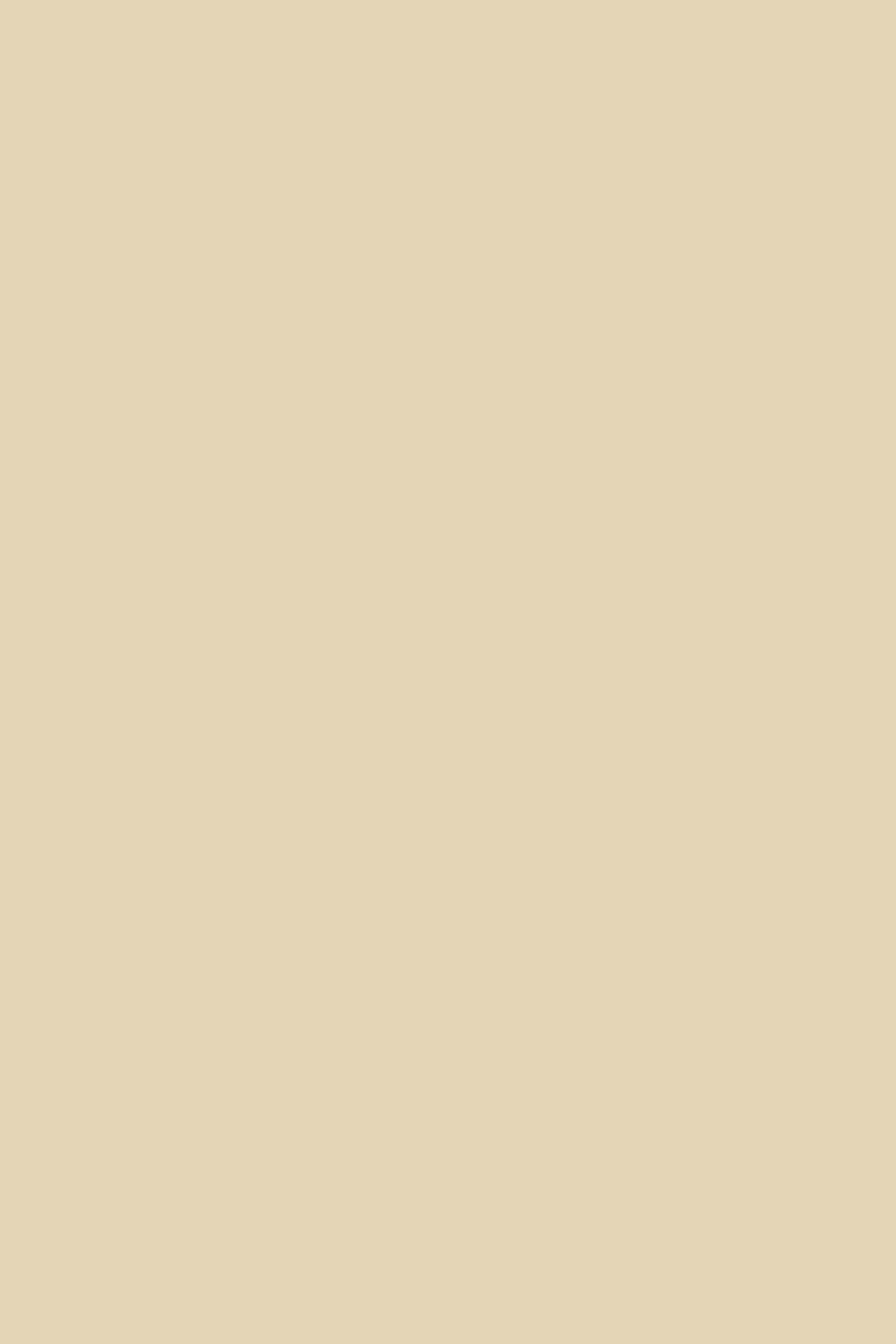 Farrow & Ball Orange Coloured White No. W5 paint Swatch, duvallatelier.com