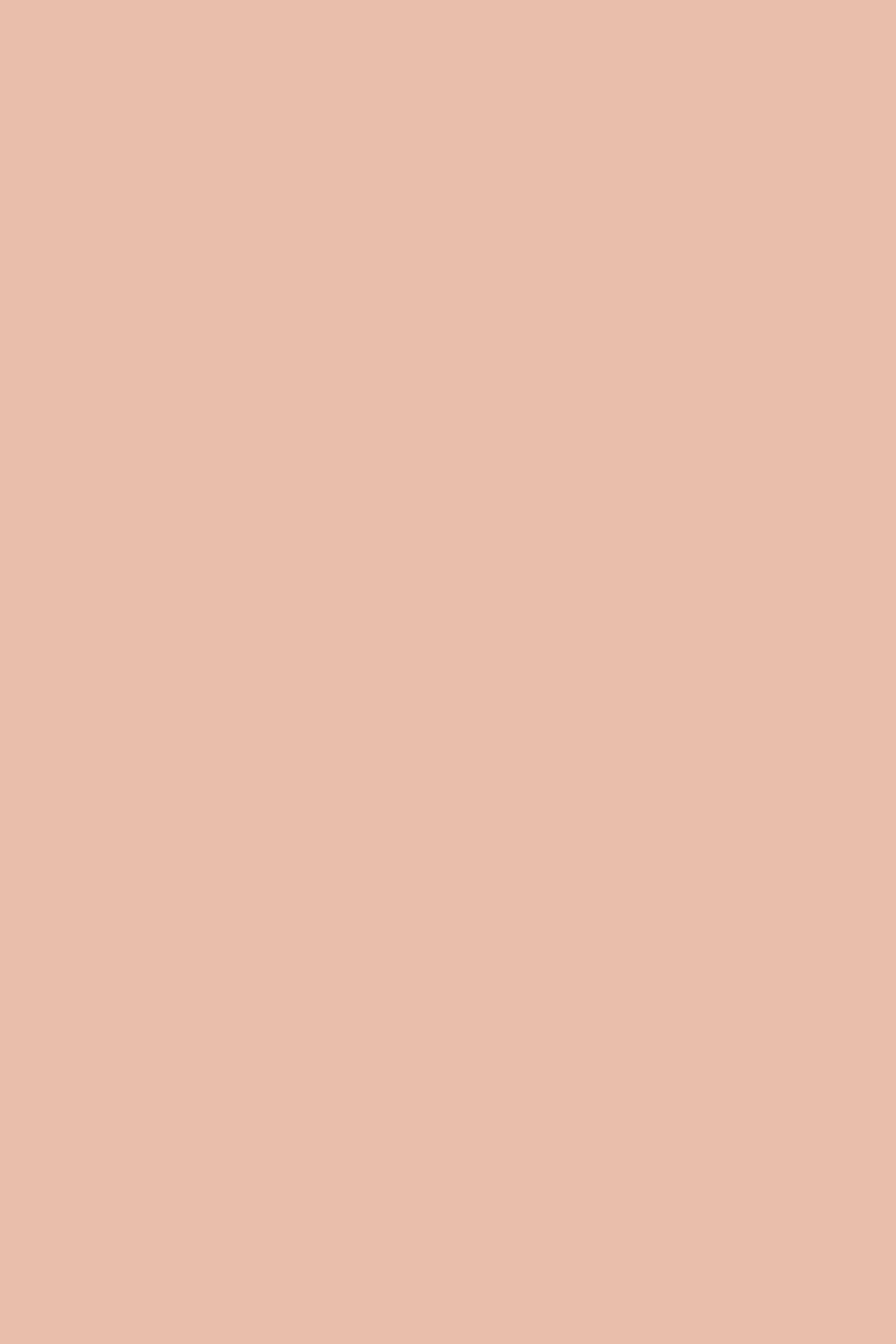 Farrow & Ball Pink Cup No. 9801 paint swatch, duvallatelier.com