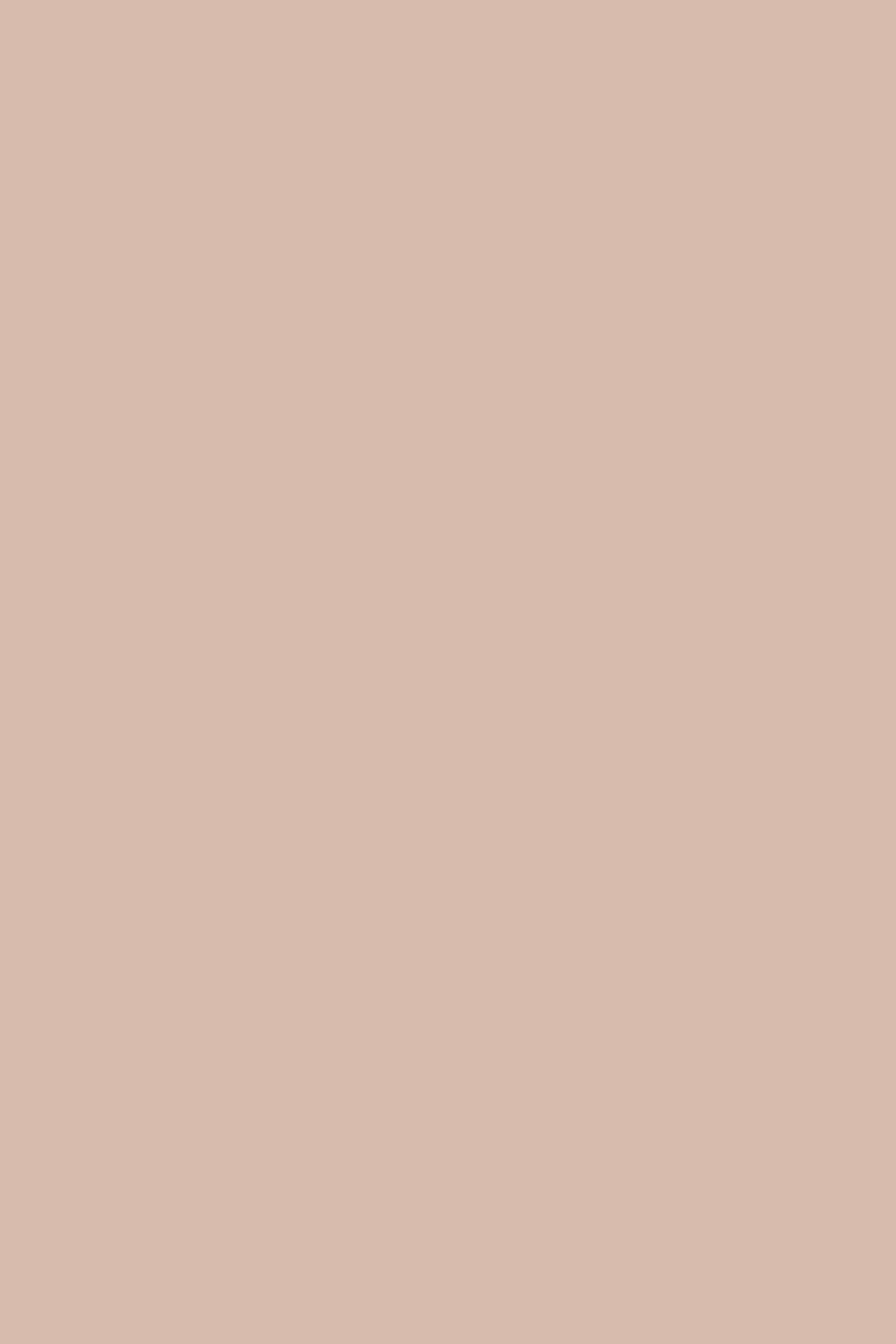 Farrow & Ball Potted Shrimp No. 9906 paint swatch, duvallatelier.com