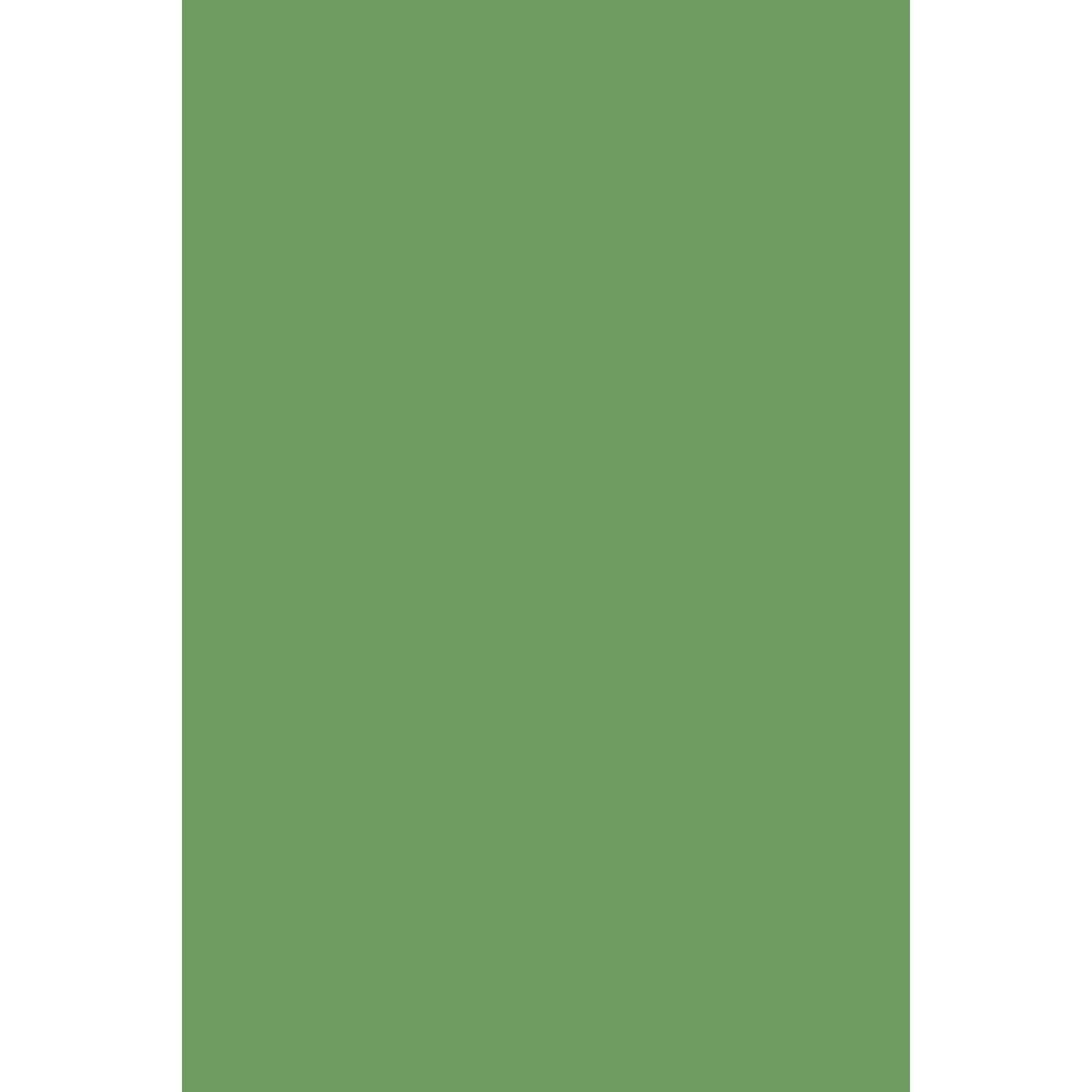Farrow &amp; Ball Raw Tomatillo No. CB6 paint swatch, duvallatelier.com