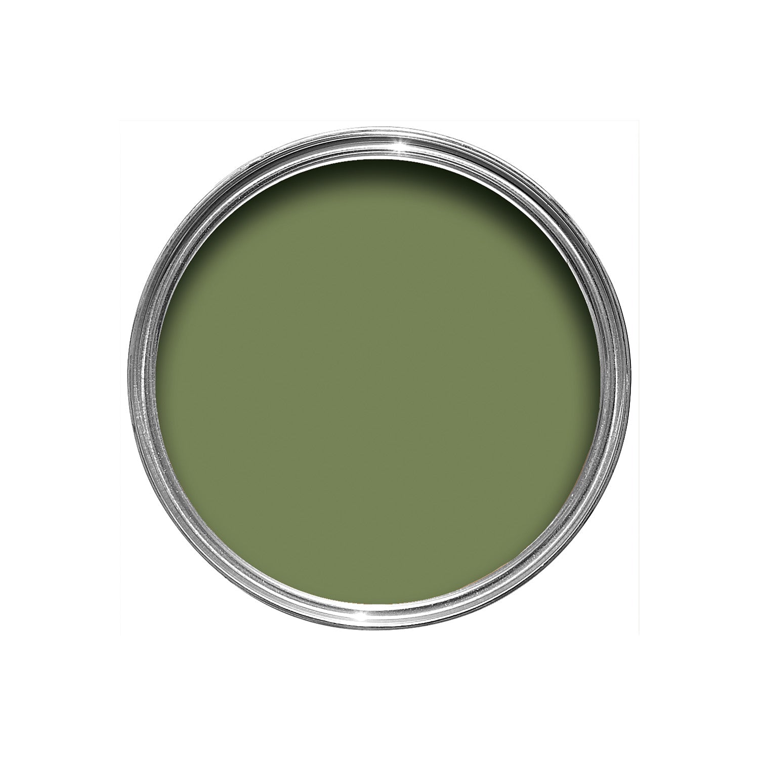 Farrow & Ball Sap Green No. 199 paint, duvallatelier.com