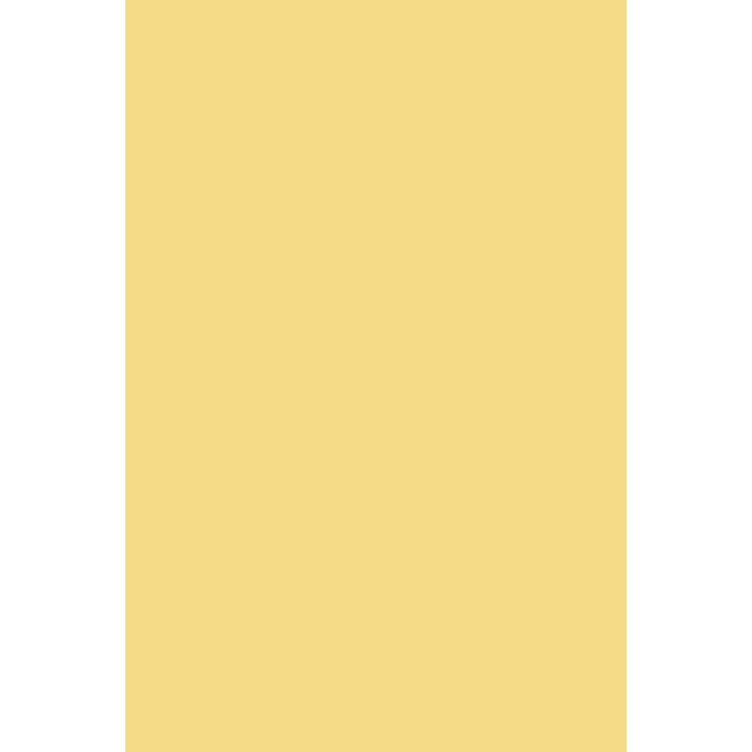 Farrow &amp; Ball Sherbert Lemon No. 9914 paint swatch, duvallatelier.com