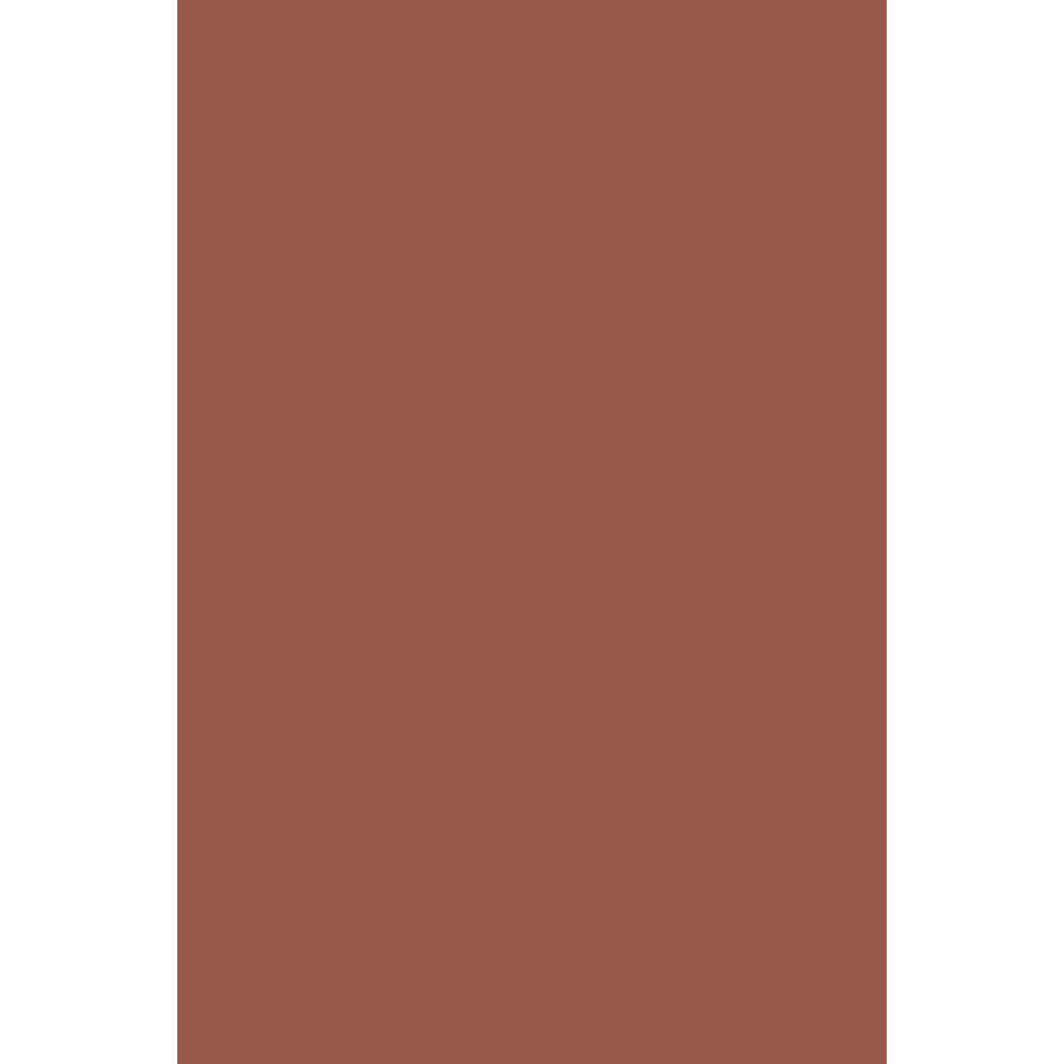 Farrow &amp; Ball Singed Red No. G15 paint swatch, duvallatelier.com