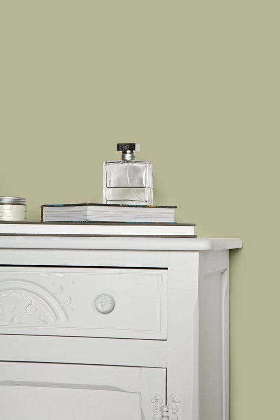 Farrow & Ball Ball Green No. 75 paint, duvallatelier.com