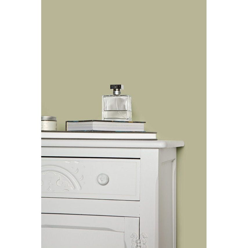 Farrow & Ball Ball Green No. 75 paint, duvallatelier.com