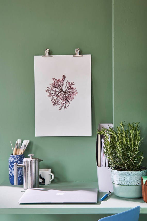 Farrow & Ball Breakfast Room Green No. 81 Paint, duvallatelier.com