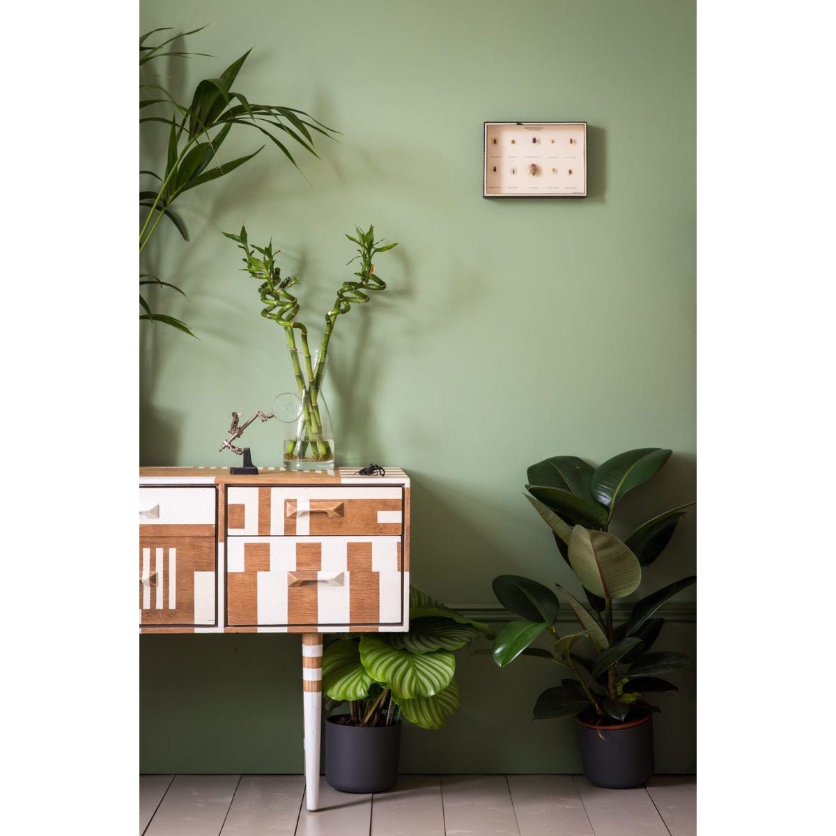 Farrow & Ball Breakfast Room Green No. 81 Paint, duvallatelier.com