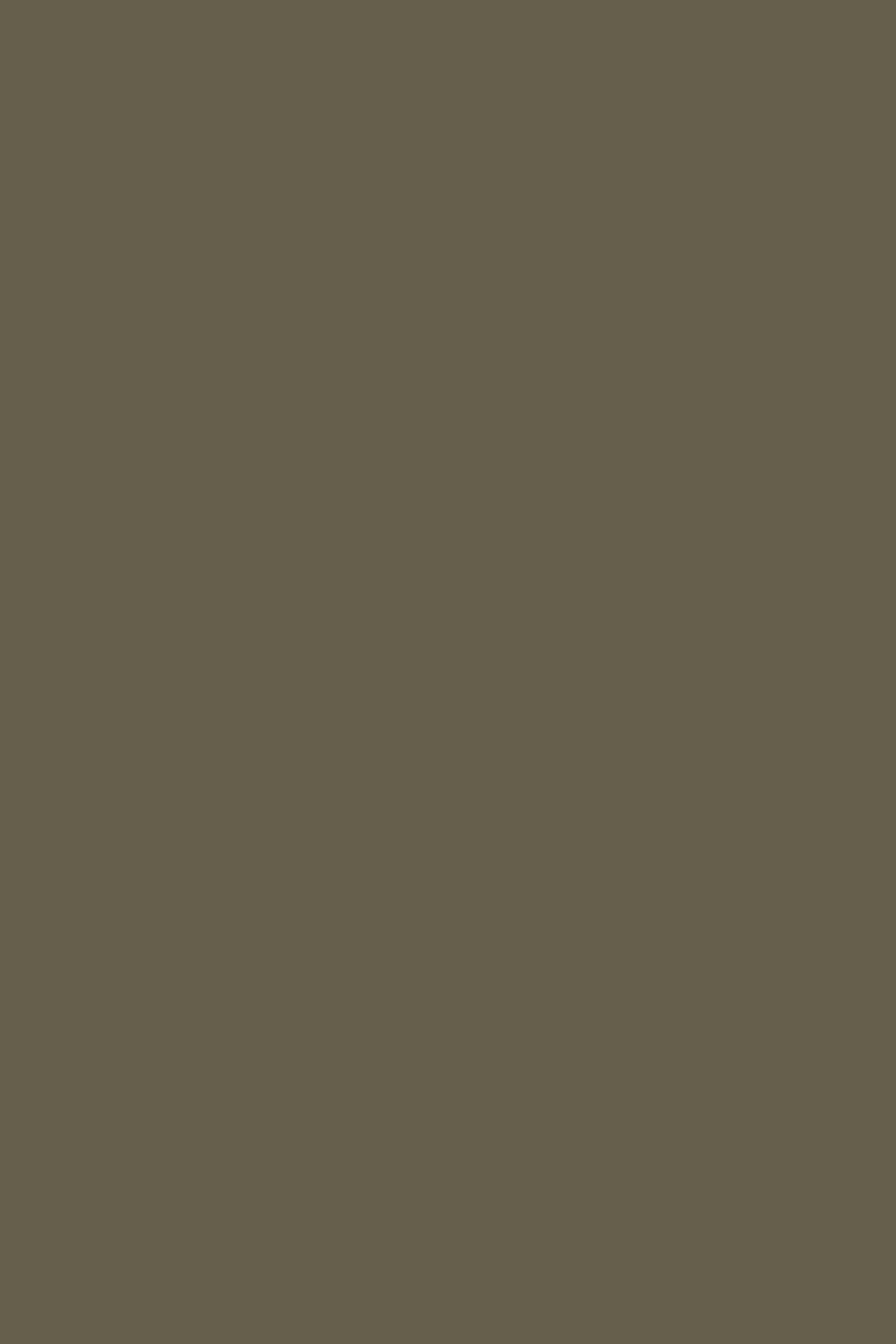 Farrow & Ball Cardamom No. CB5 paint swatch, duvallatelier.com