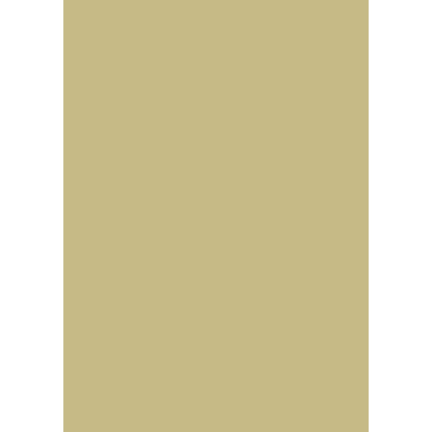Farrow &amp; Ball Churlish Green No. 251 paint swatch, duvallatelier.com