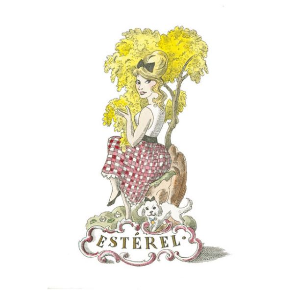 TRUDON BELLES MATIÈRES ESTÉREL - Brightness of Mimosa