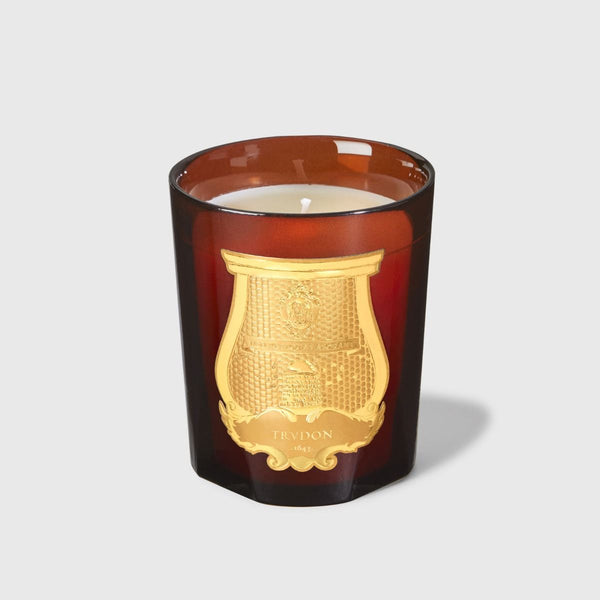 TRUDON Classic Candle, CIRE - Beeswax Absolute