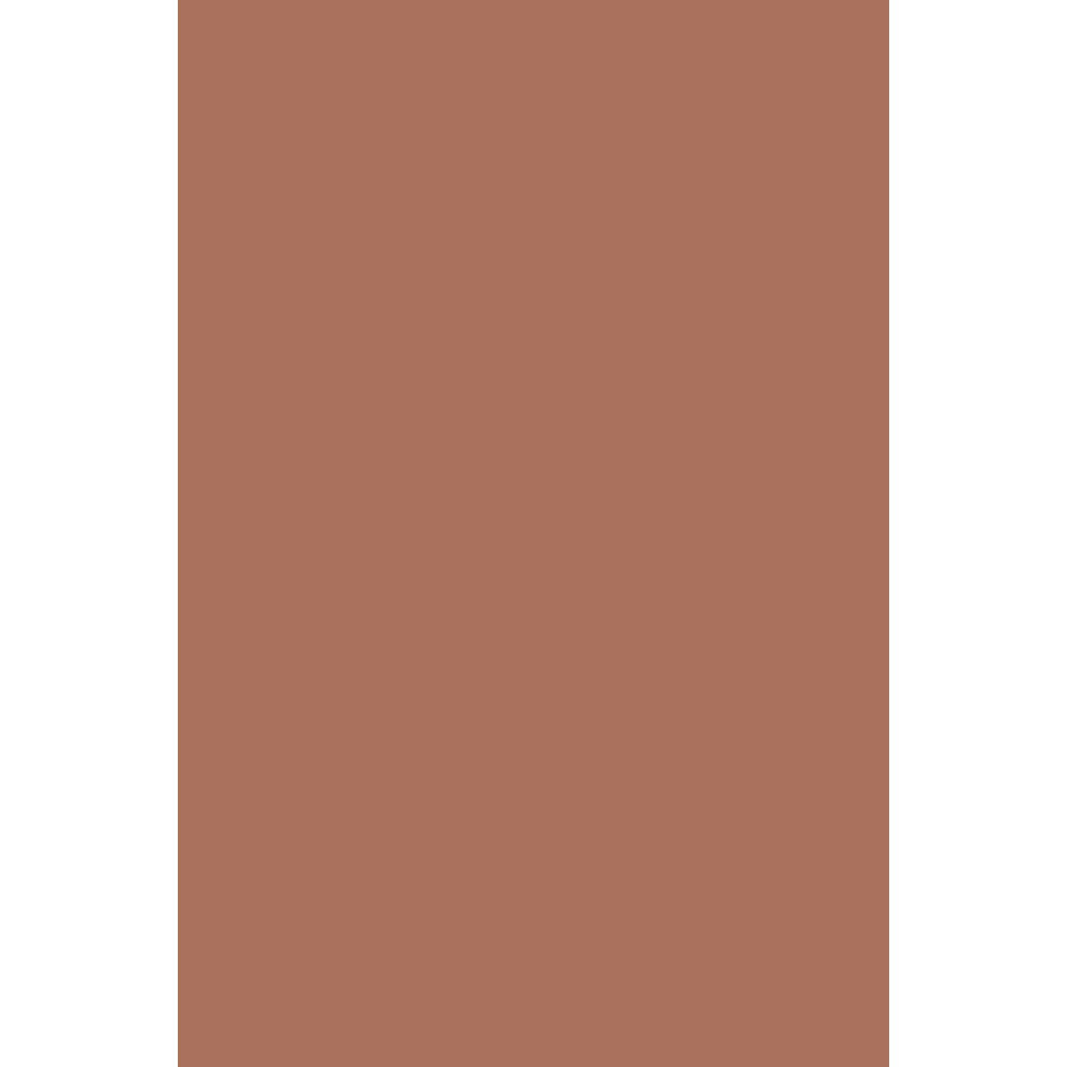 Farrow & Ball Fox Red No. 48 paint swatch, duvallatelier.com
