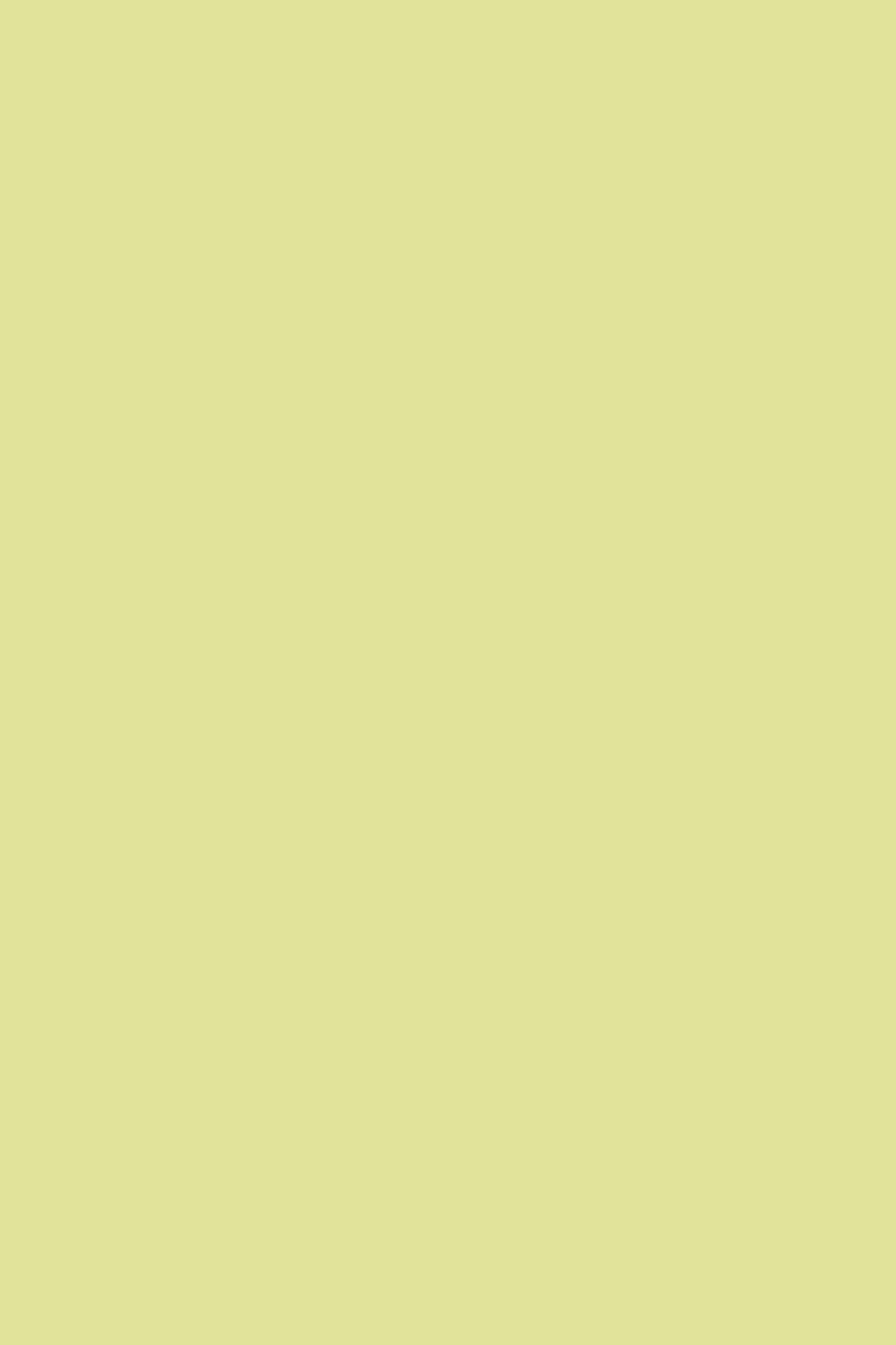 Farrow & Ball Hog Plum No. CB1 paint swatch, duvallataelier.com