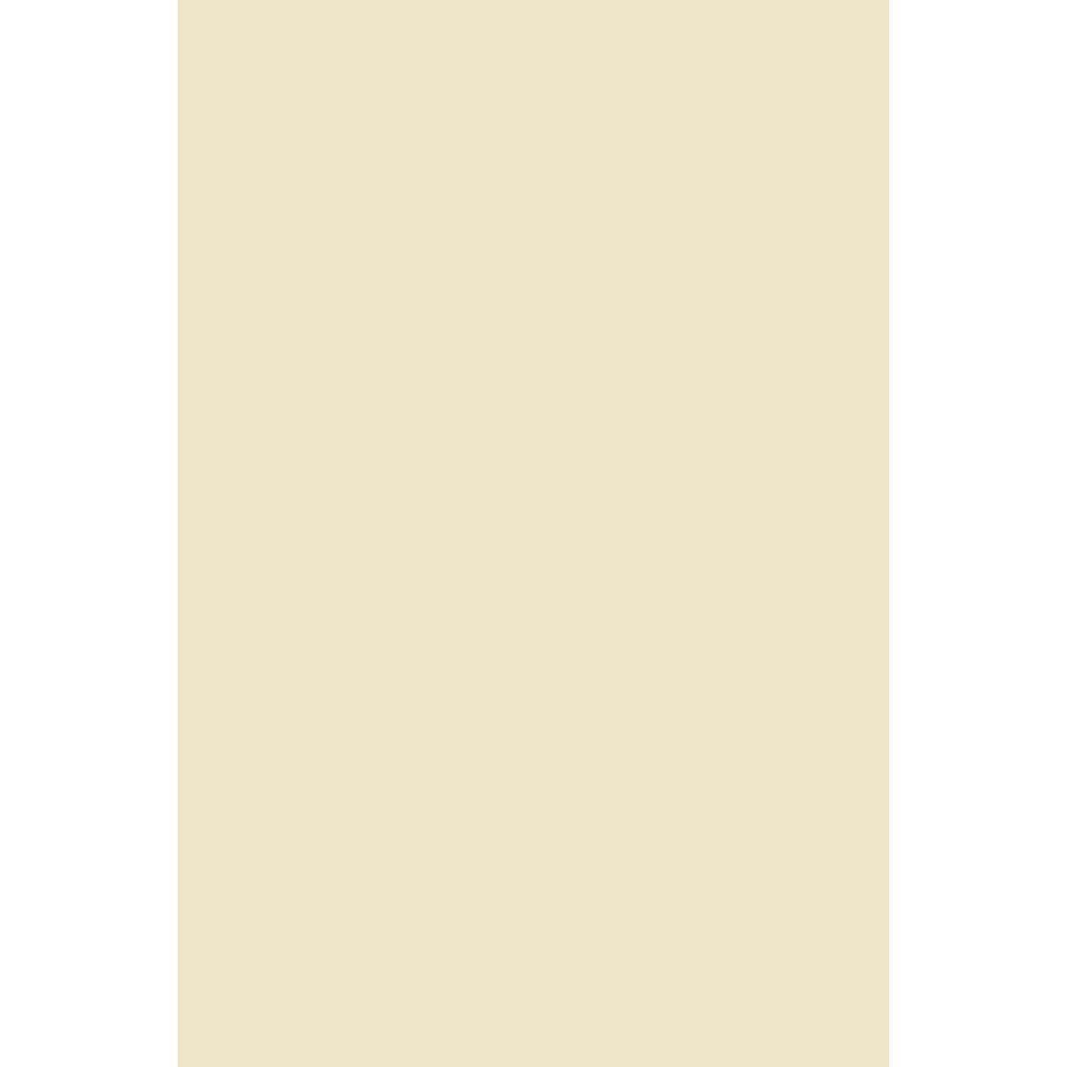 Farrow & Ball House White No. 2012 paint swatch, duvallatelier.com