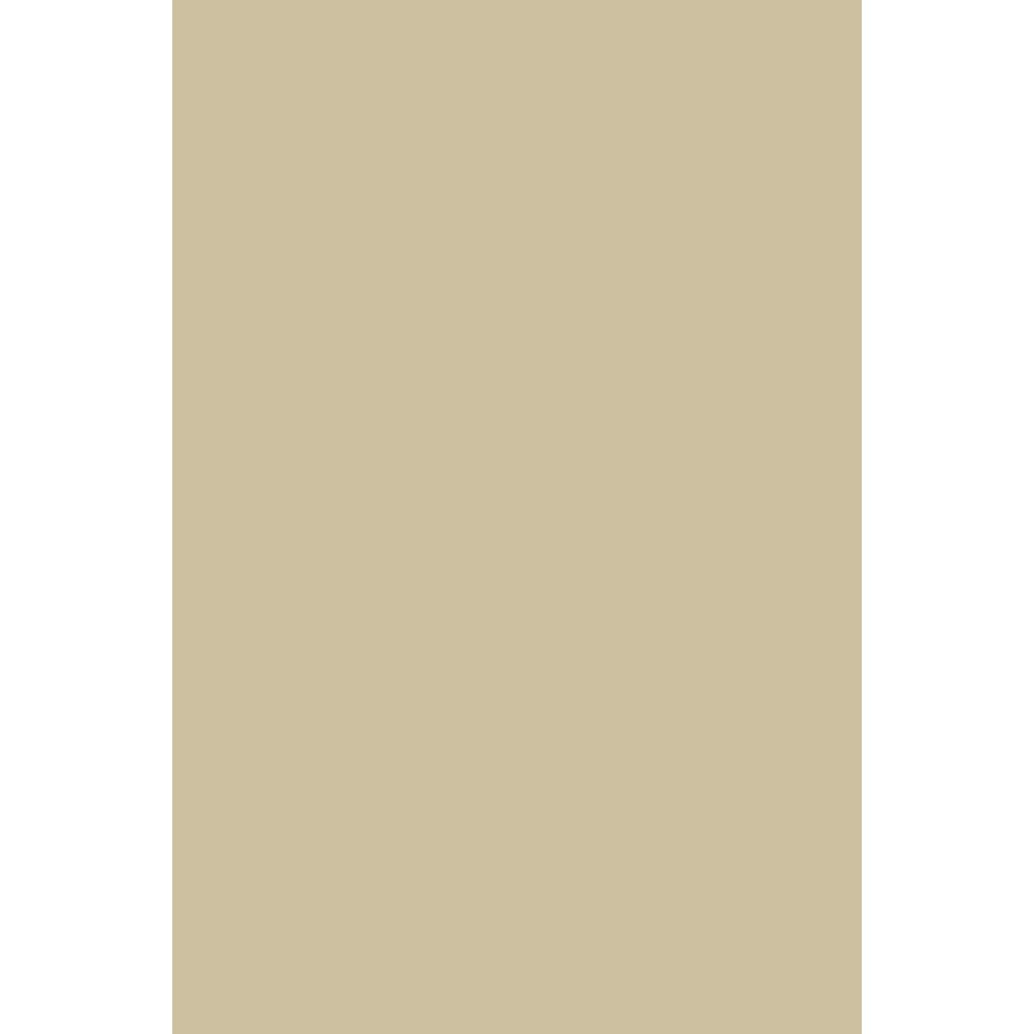 Farrow & Ball Light Stone No. 9 paint swatch, duvallatelier.com