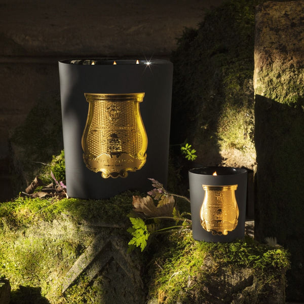 TRUDON CLASSIC MARY - CEDAR and GAIA