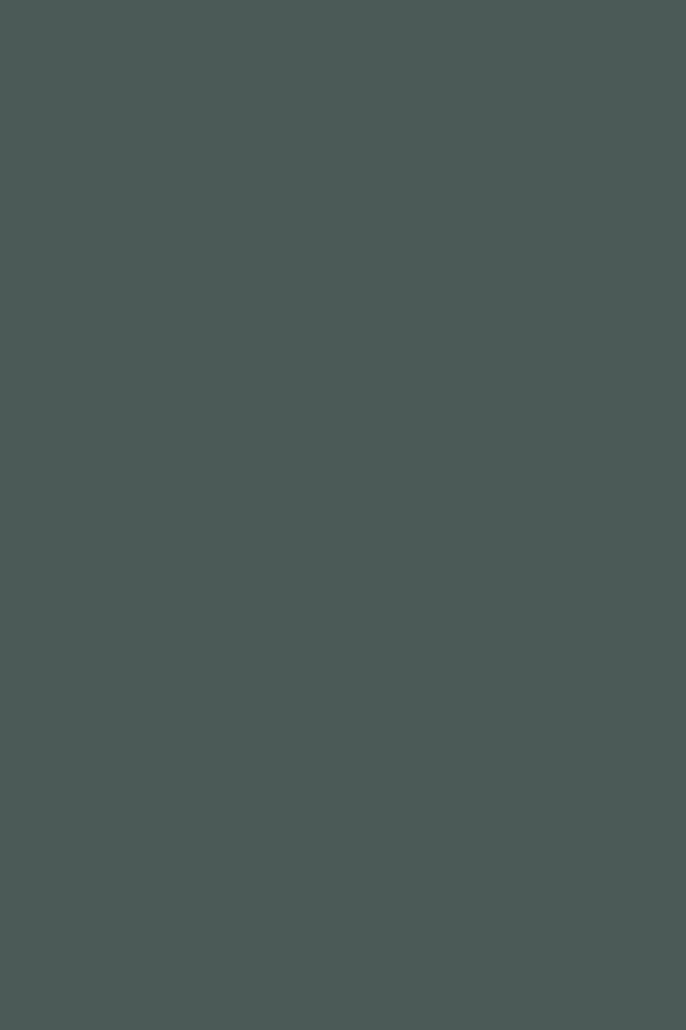 Farrow & Ball Monkey Puzzle No. 238 paint swatch, duvallatelier.com